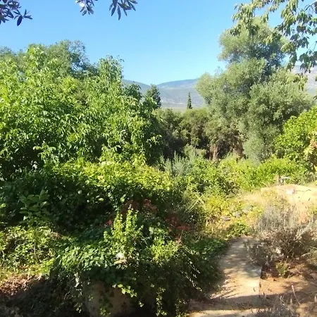 Alexander 3 Spartia (Kefalonia)